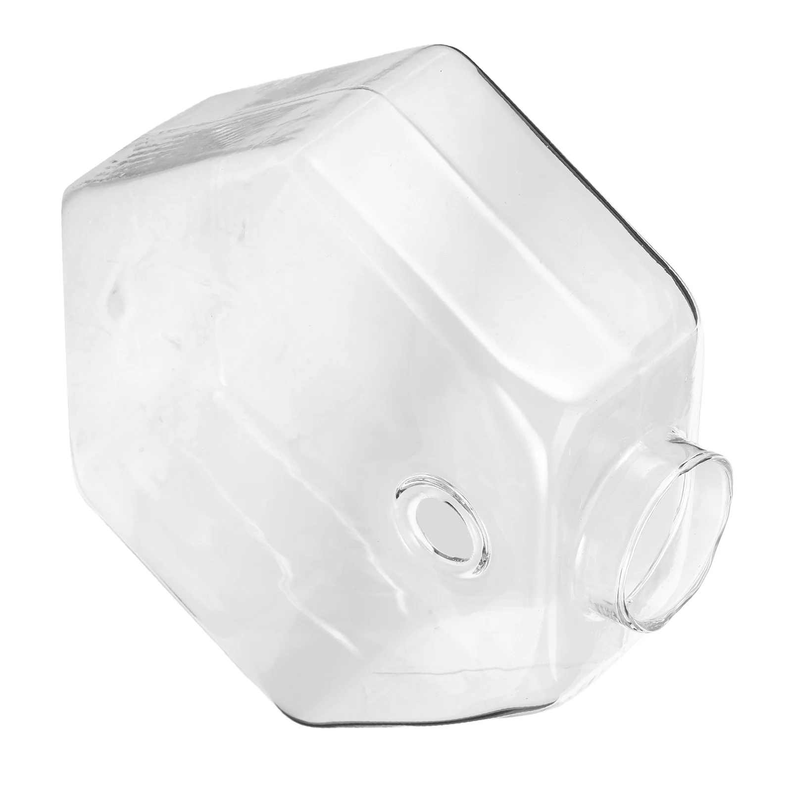 

Creative Wall Vase Unique Glass Vase Wall Mounted Hydroponic Planter Transparent Hanging Flower Pot for Home Office Decor