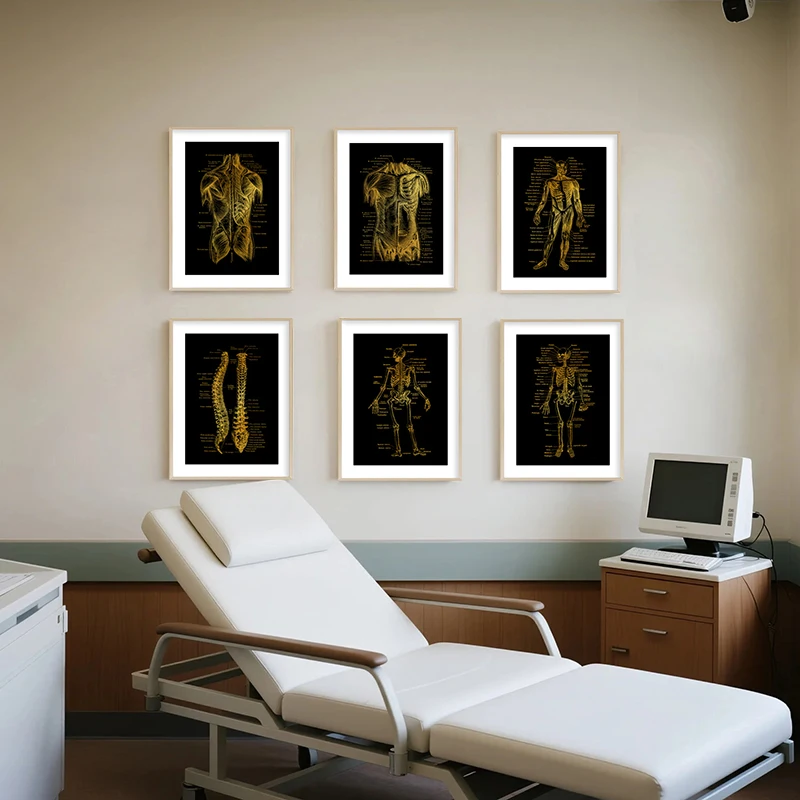Human Spine Anatomy Art Prints Vintage Gold Muscular Skeleton System Posters Medical Student Gift Clinic Doctor Office Decor