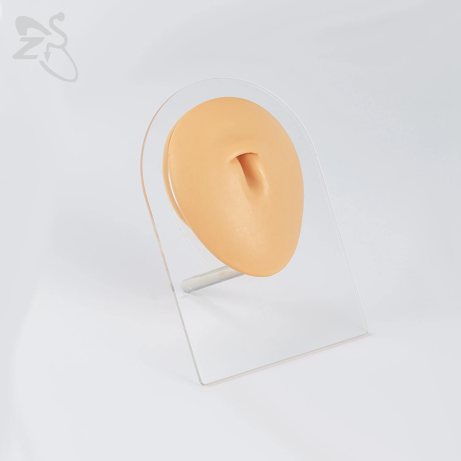 ZS 1 PC Silicone Body Model Ear Nose Model Men Professional Practice Piercing Tools Silica Gel Body Parts Jewelry Display Stand