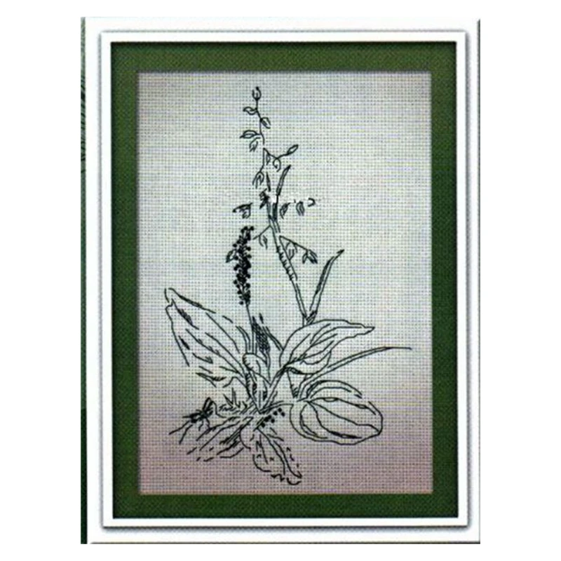 

Cross-stitch kit DIY embroidery tool kit Optional printed handcrafted intersection point kit saga Plantago asiatica Sketch tree