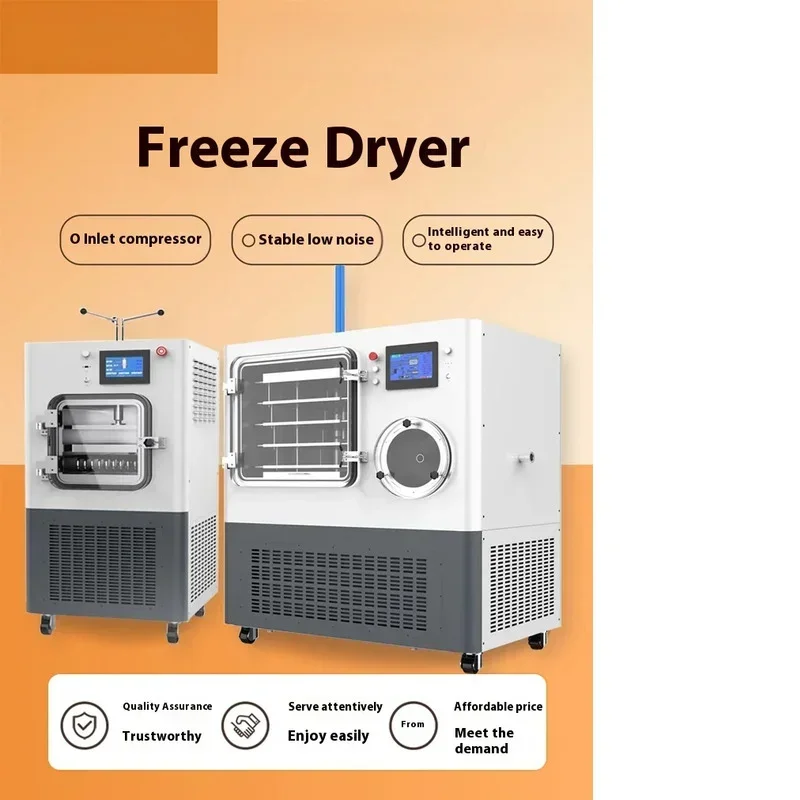 

Dehydrated Spinach FD Freeze Drying Equipment Durable freeze dryer‌ freeze dried skittles recipe