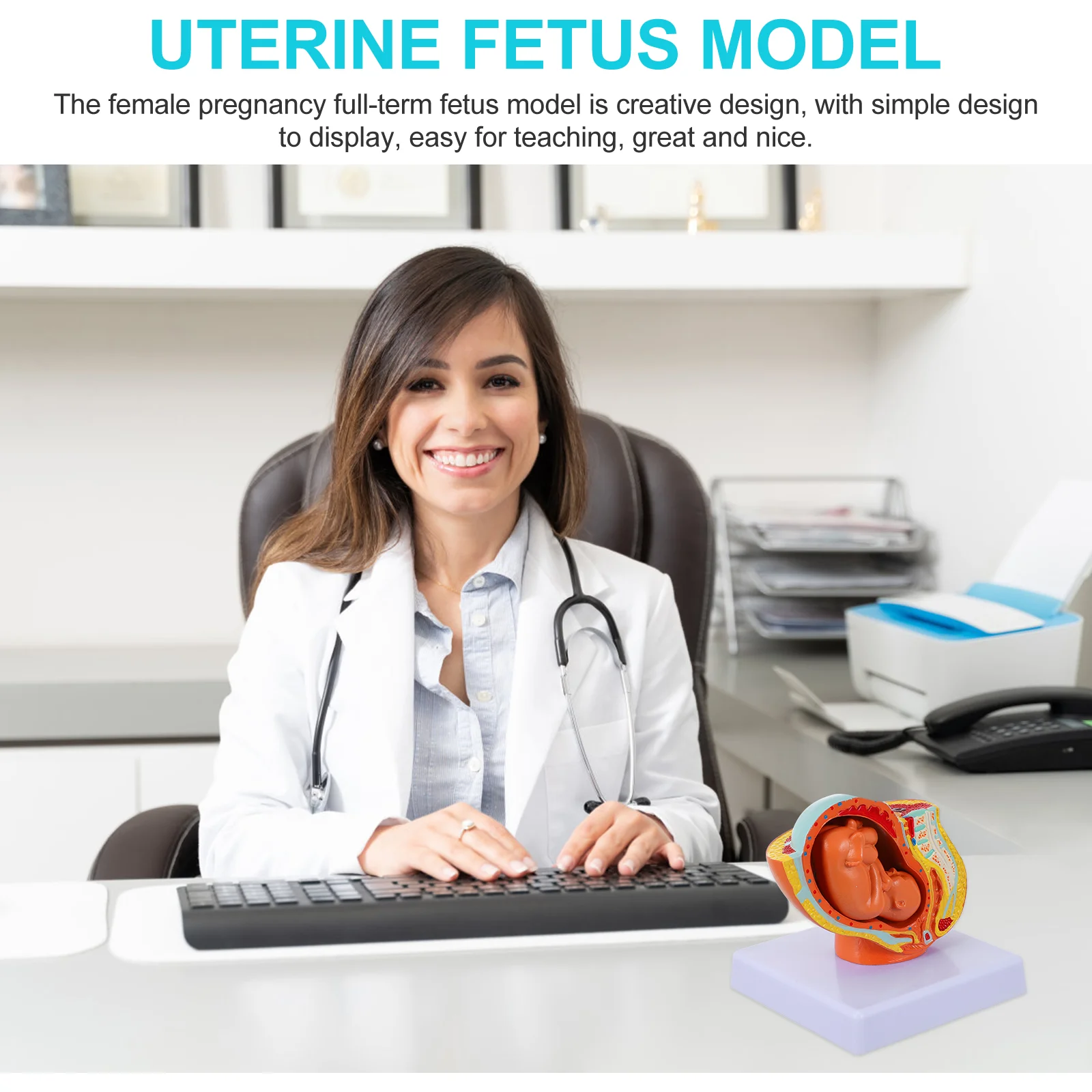 Embryo Model Display Uterus Female Full-term Uterine Fetus Teaching for Learning Nine-months Pregnancy Models