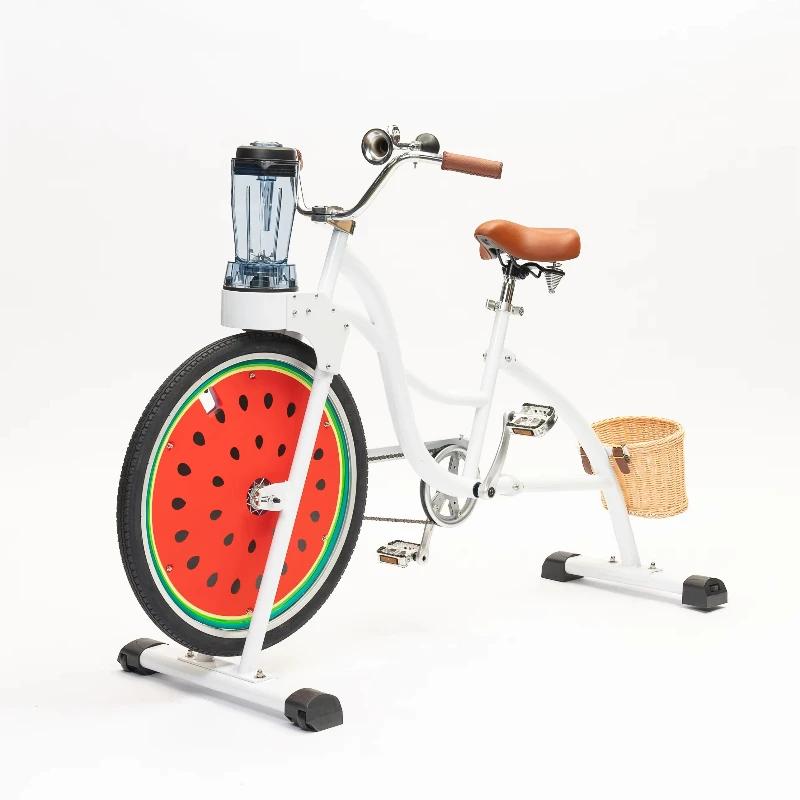

Fashion Smoothie Bike Commercial Juicer Blender Pedal Bike