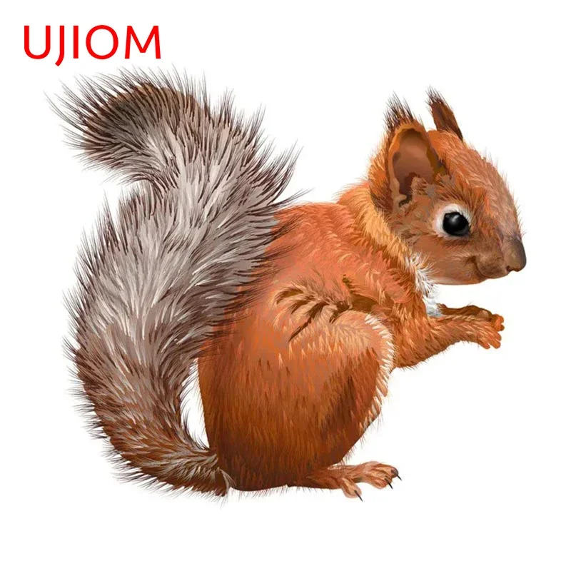 UJIOM 13cm X 12cm Watercolor Squirrel Wall Stickers Self-adhesive Vinyl Decals Home Bedroom Accessories Animal Pattern Sticker