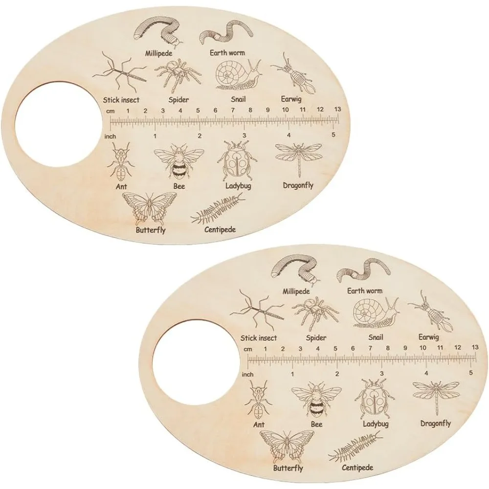 

Деревянная доска для исследования насекомых, образовательный обучающий подарок, обучающая фанера для насекомых, доска для поиска идентификаторов насекомых