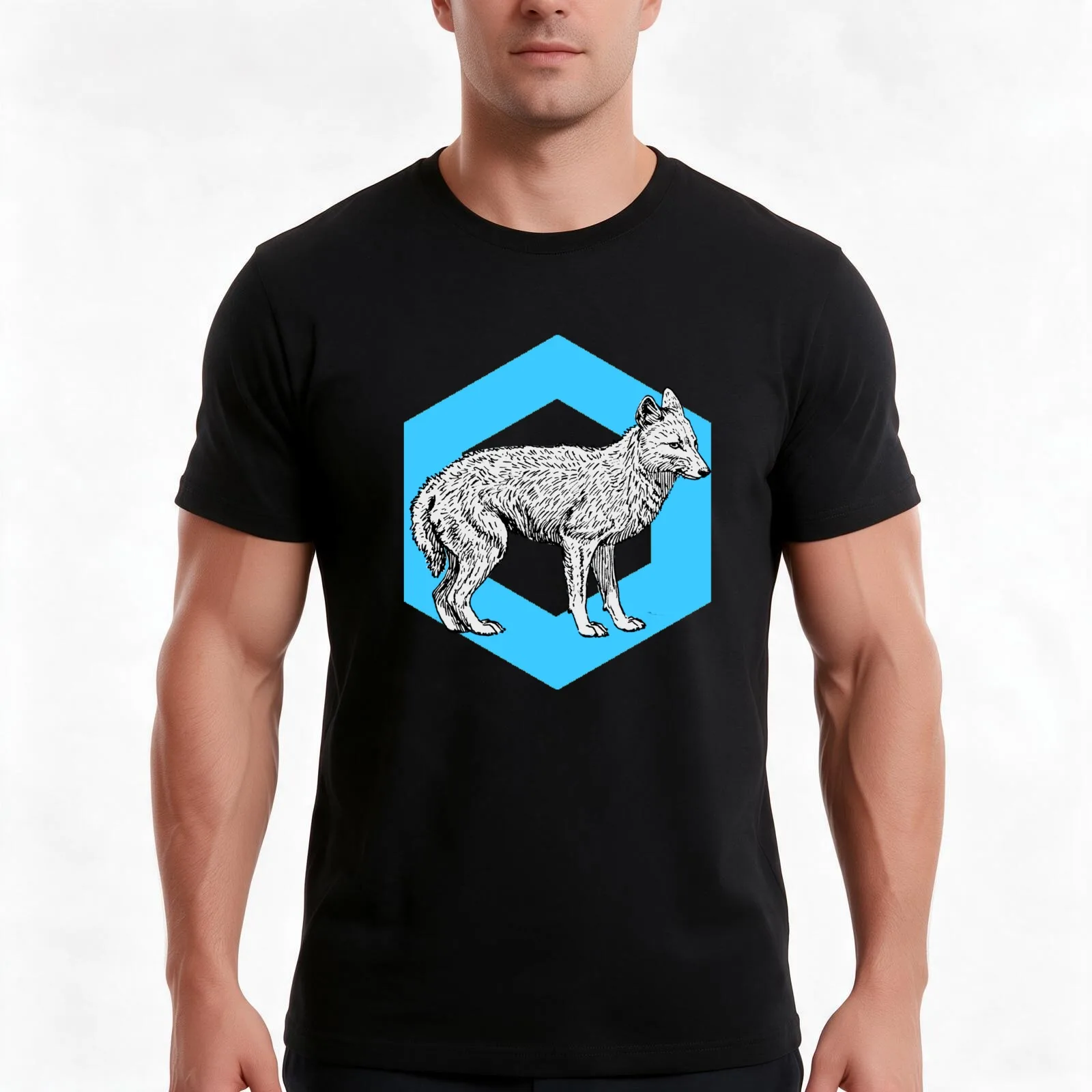 Fox Shine T-Shirt, Summer Casual Cotton Tee, Oversized Streetwear Tops, Vintage Graphic Print, Loose Fit Short Sleeve