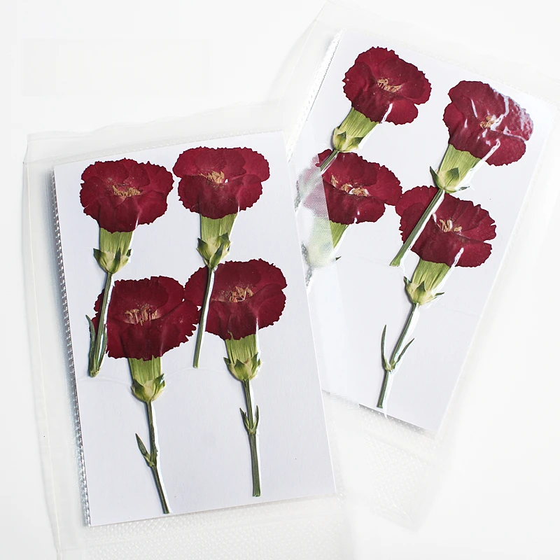 Natur geprägte Polystyrol Nelke, neue primäre getrocknete Blume DIY Epoxy Handytasche Blumen Lesezeichen Hochzeitsdekoration, 4 Stück – Detail 4