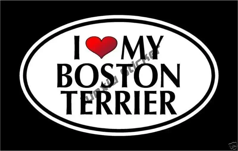 Рисунок 2 - Улыбающийся Бостон-терьер