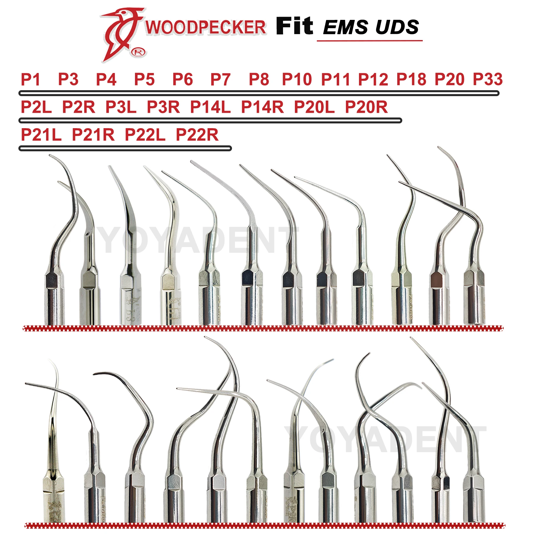 Woodpecker Periodon… - image