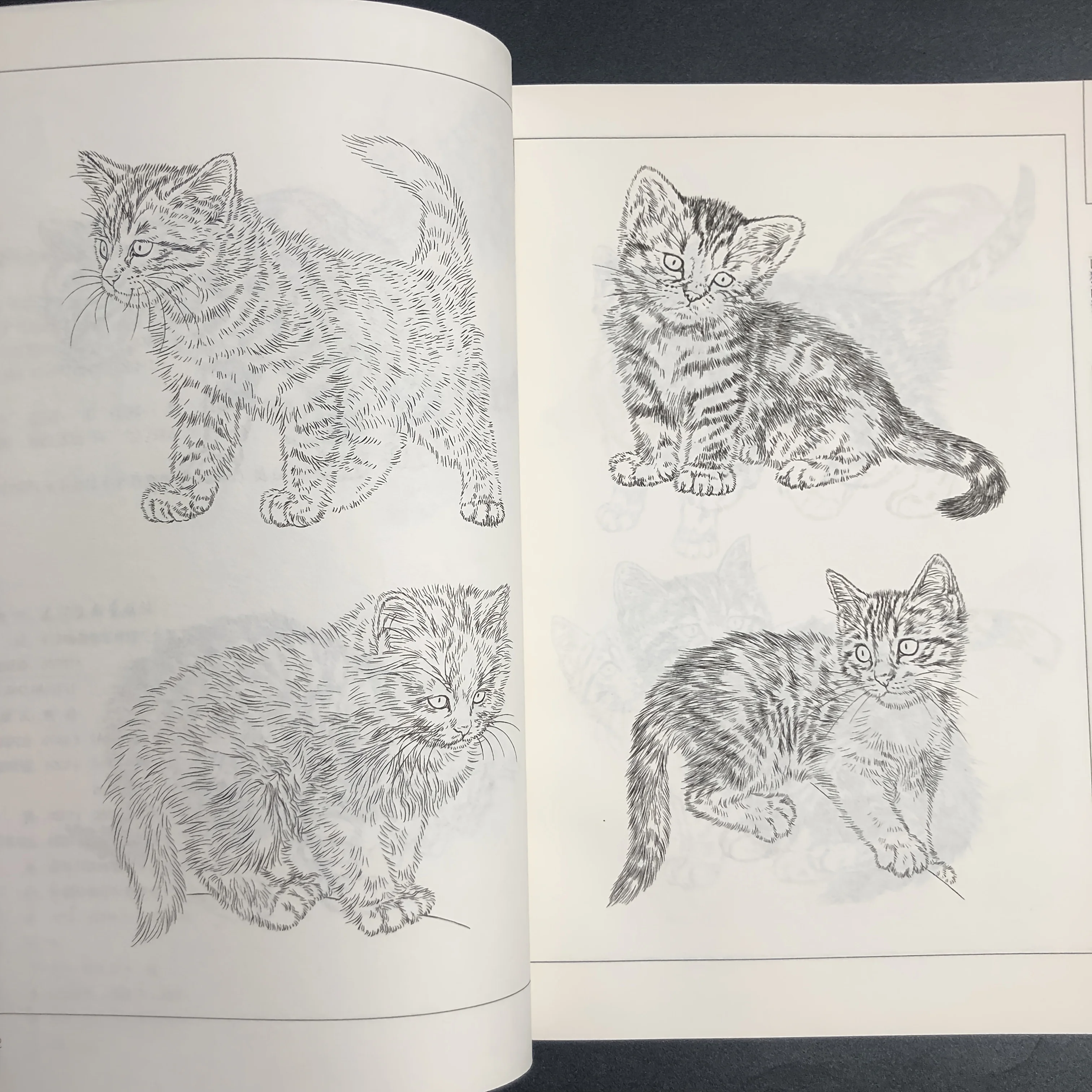 Coloring Book for Adults and Teens Featuring  with Easy and Simple Designs for Relaxation Chinese painting sketch