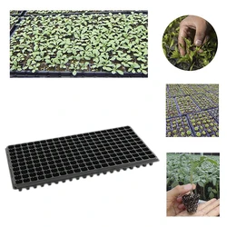 1 Pc 200-Hole Seedling Tray Porous PVC Plastic High-Quality for Orchard Melon Fruit Vegetable Cavity Gardening