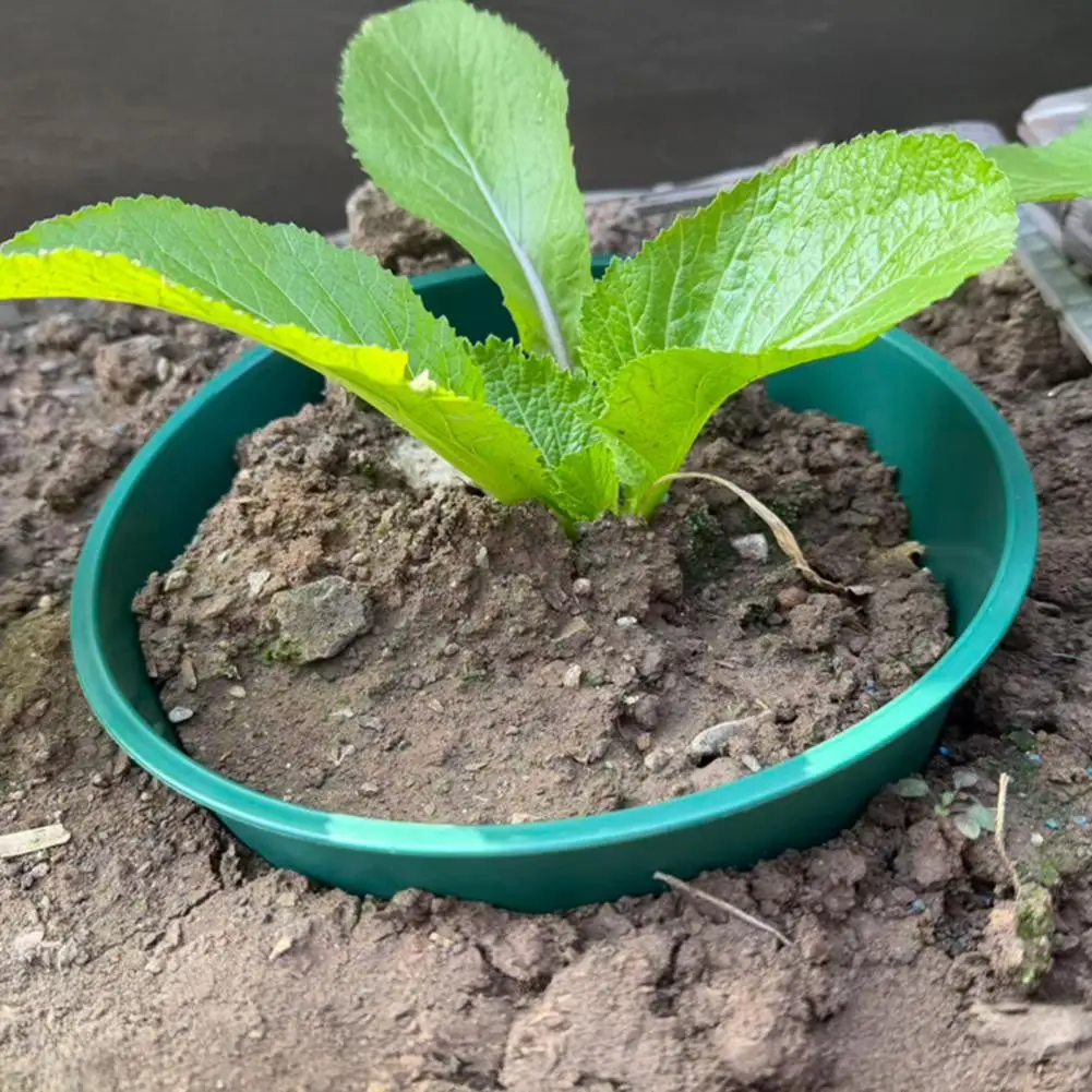 Garden Irrigation Aid 6pcs 9.84-inch Plant Support Rings Garden Edging Protector Watering Grow Rings for Vegetables Herbs