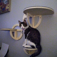 Cat Wall Mounted Climbing Stairs Cat Stairs Wooden Cat Tree Climbing Perches Scratcher Toys Bed for Indoor Cats Accessories