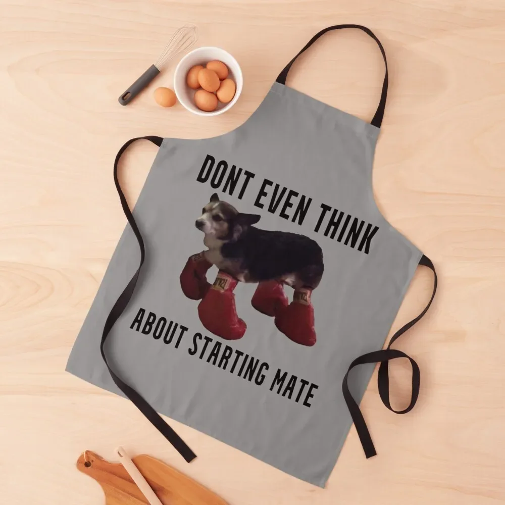 Dont even think about starting mate Apron restaurant accessories japanese style Kitchen Utensils professional hairdressing Apron