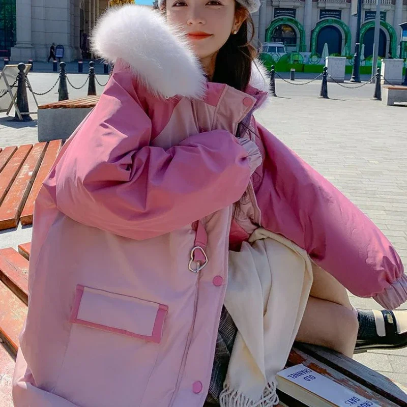 الوردي الأدوات أسفل سترة مبطنة بالقطن المرأة 2024 شتاء نسخة جديدة تصميم فضفاض الشعور زر الحب الصغيرة سترة مبطنة بالقطن