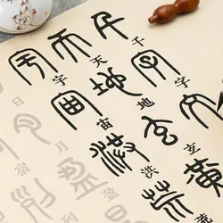 Chiński pędzel kaligrafii zeszyty Deng Shiru pieczęć skrypt szczotka kaligrafii zeszyt tradycyjny Xuan papieru Sutra serca zeszyt