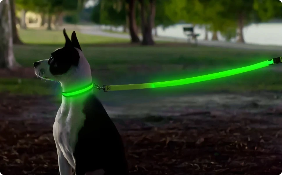 Led Haustier Hund Leine Seil Mit Licht Leuchtende Leine USB Lade für Hund Sicherheit Blinkende Leuchtende Kragen Harness Zubehör – Detail 10
