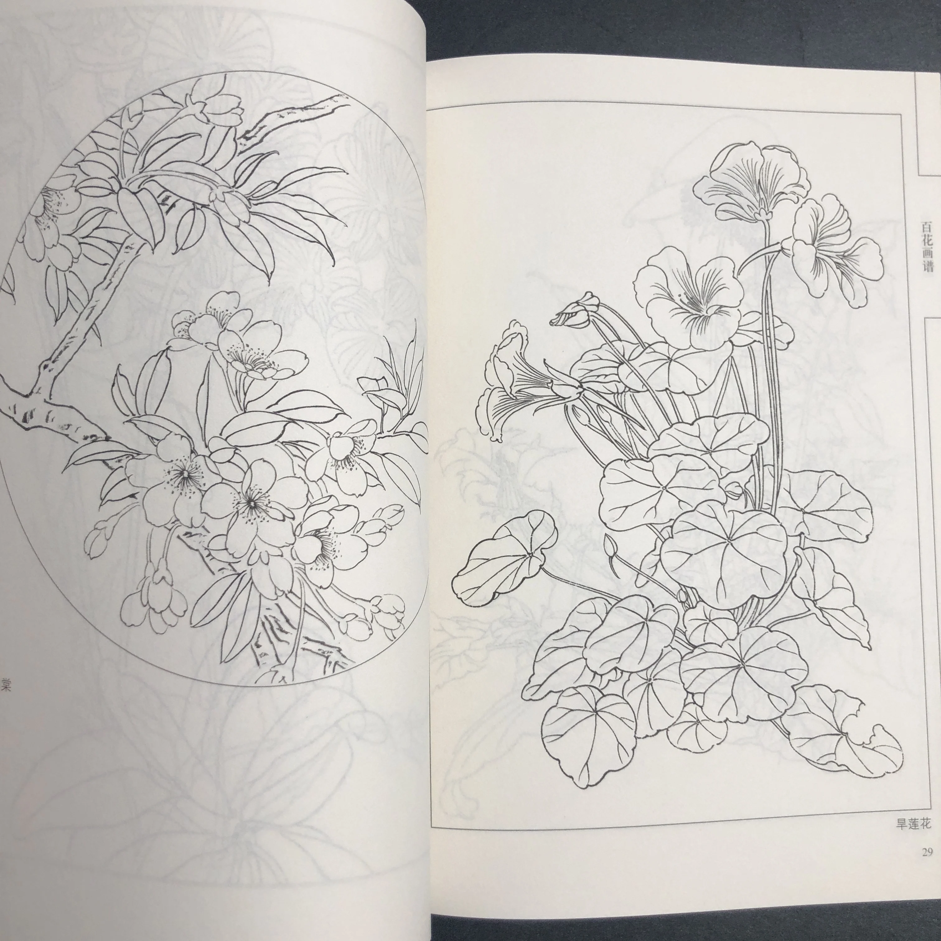 كتاب تلوين للبالغين والمراهقين يتميز بتصميمات سهلة وبسيطة لرسم الرسم الصيني للاسترخاء