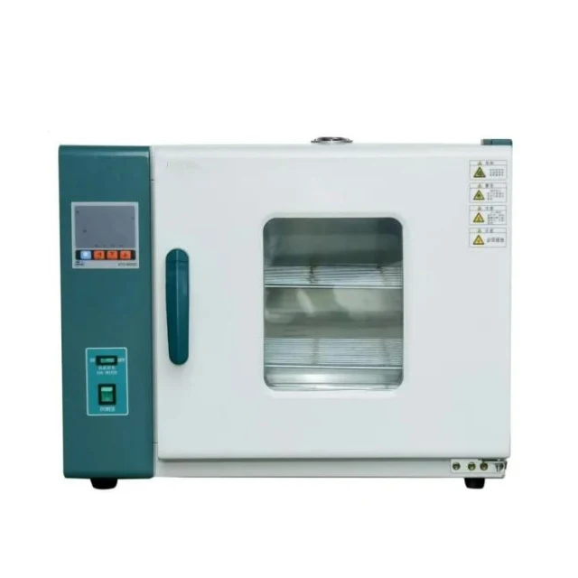 University Cheap Price Constant Temperature Lab Vacuum Drying Oven Electric Forced Air Dry Wind Ovens