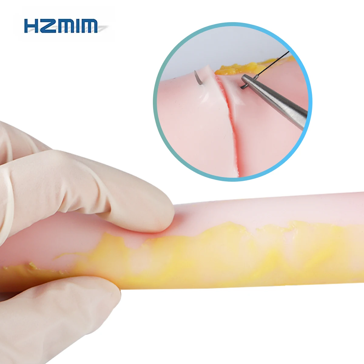 Intestine Training Model With Fat Highly Simulated Clinical Skills Intestinal Suture Anastomosis For Real Surgical Operations