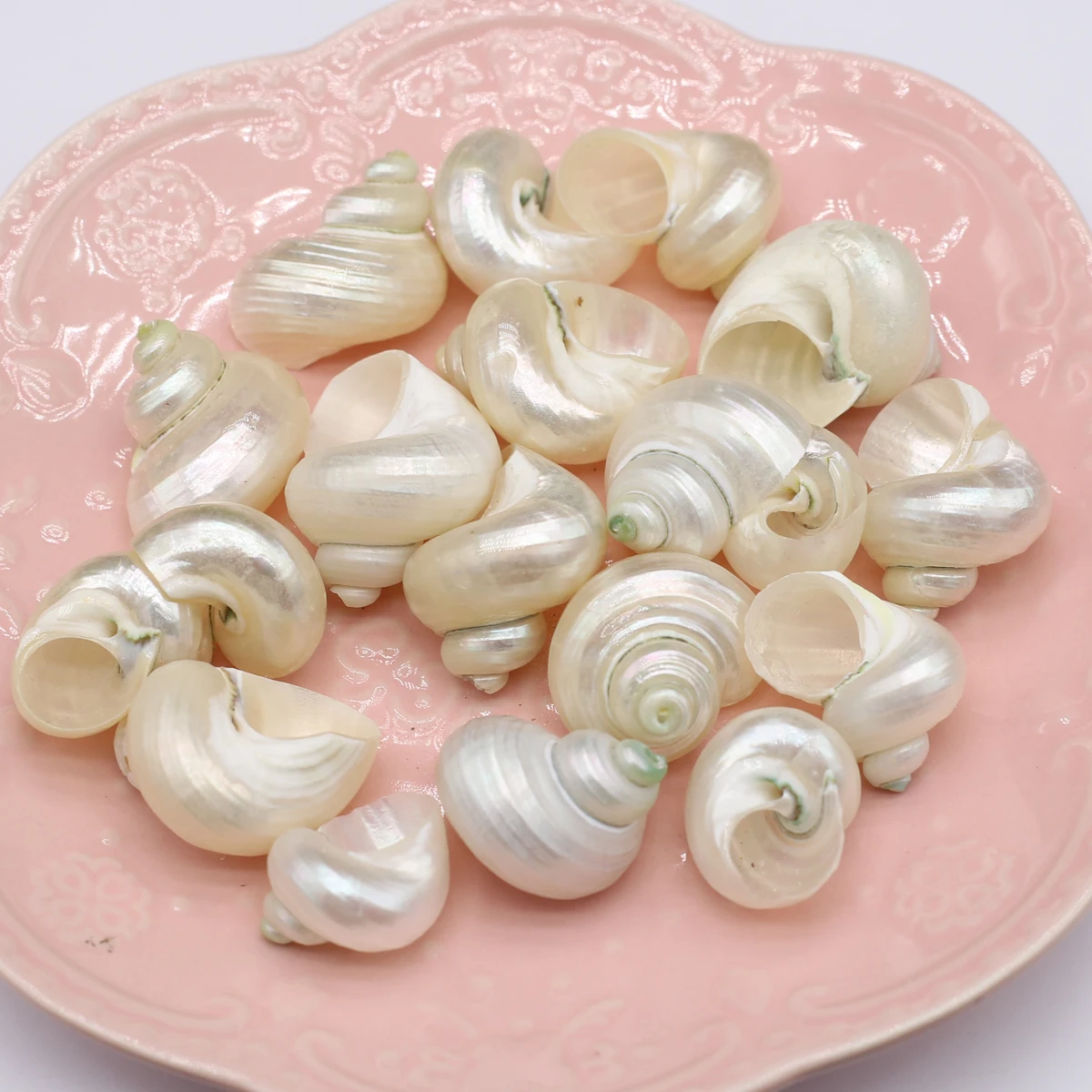 AAA Natürliche Weiße Muschelschalen-Ornamente, Vielseitiges Zubehör für Handgemachten Schmuck, Handwerk und Haushalts-Aquarium-Dekoration