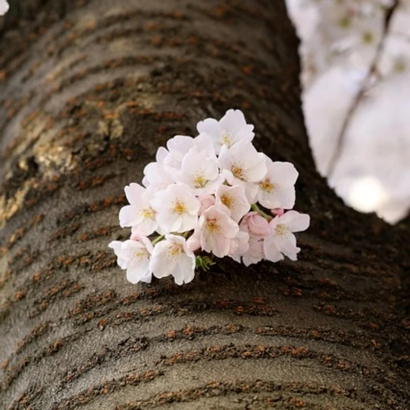 

MN82 LC79 MN78 D90 D91 D96 99S Металлическая передняя и задняя портальная ось 1/12 Обновление радиоуправляемого автомобиля Запчасти Аксессуары