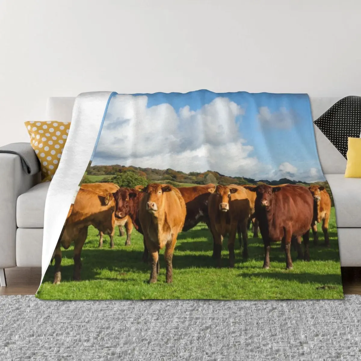 

Limousin Cows Throw Blanket Bed Loose wednesday Comforter Blankets