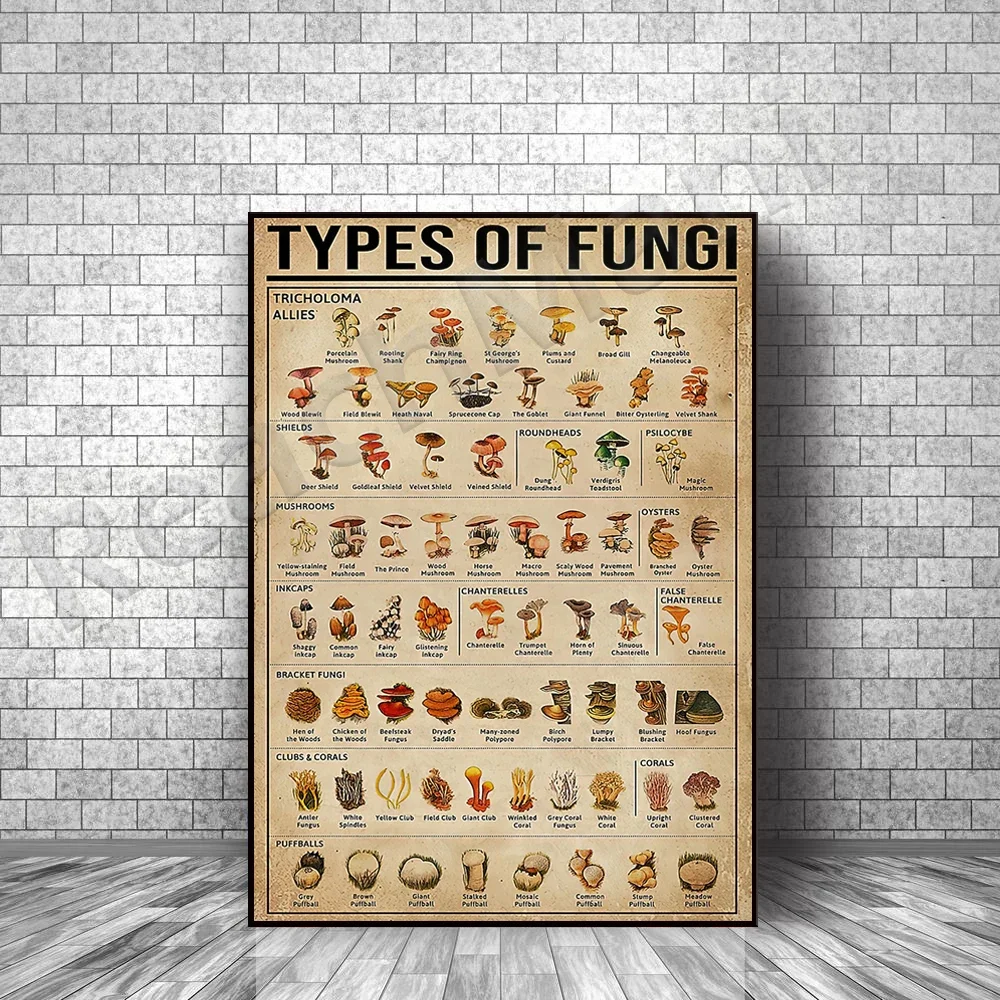 Fungi Poster Types, Plant Knowledge Poster Garden Decor, Wall Home Decor, Vintage Mushroom Poster Mushroom Print