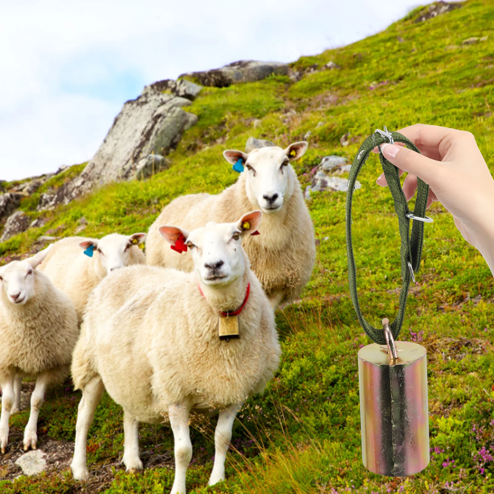 1 مجموعة 1 مجموعة من أجراس الماشية المعدنية خمر مزرعة الحيوان أجراس بصوت عال للماشية الأغنام الحيوانات الأليفة مكافحة خسر Diy بها بنفسك الحرفية ديكور الحلي #5
