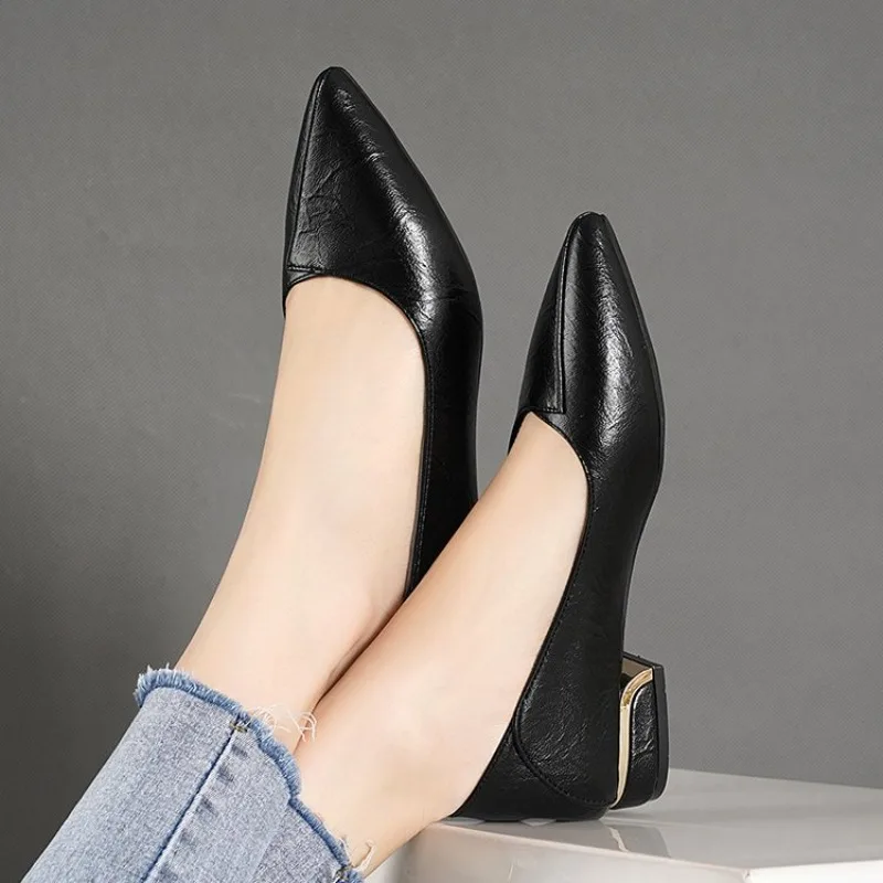 2026 Frühling und Herbst Neue Spitze Pumps für Damen mit Dickem Absatz und Flachem Schaft Professionelle Allround-Damenschuhe – Detail 4