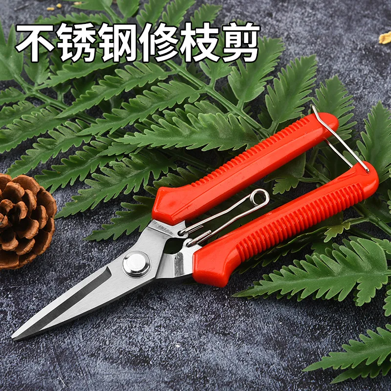 Professional Garden Pruning Shears 190mm - Stainless Steel Straight Head, Sharp for Bonsai, Home & Outdoor Plant, Flower Cutting