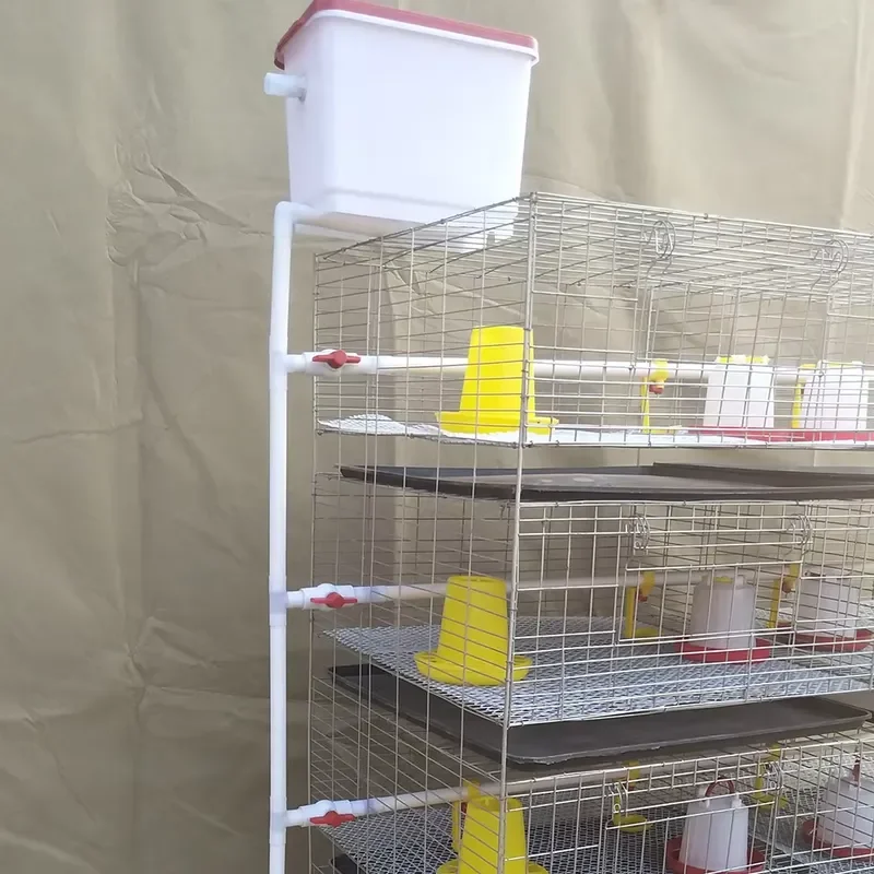 Cost Effective Baby Chick Brooder for 90 to 320 Birds Set with Complete Accessories