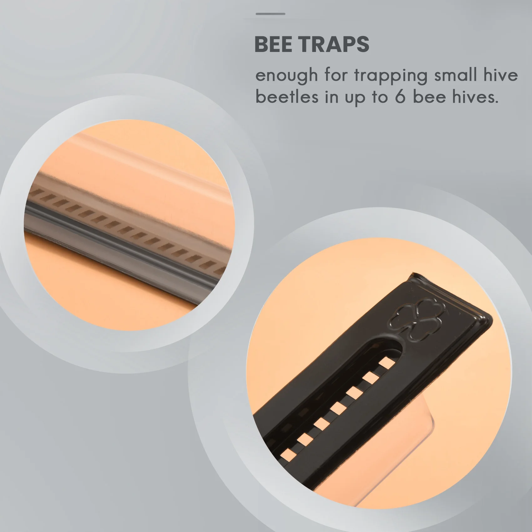 12 Pack - Beetle Traps for Naturally Catching Small Hive Beetles Bee Hives Without the Use Of Any Chemicals or Pesticides CX