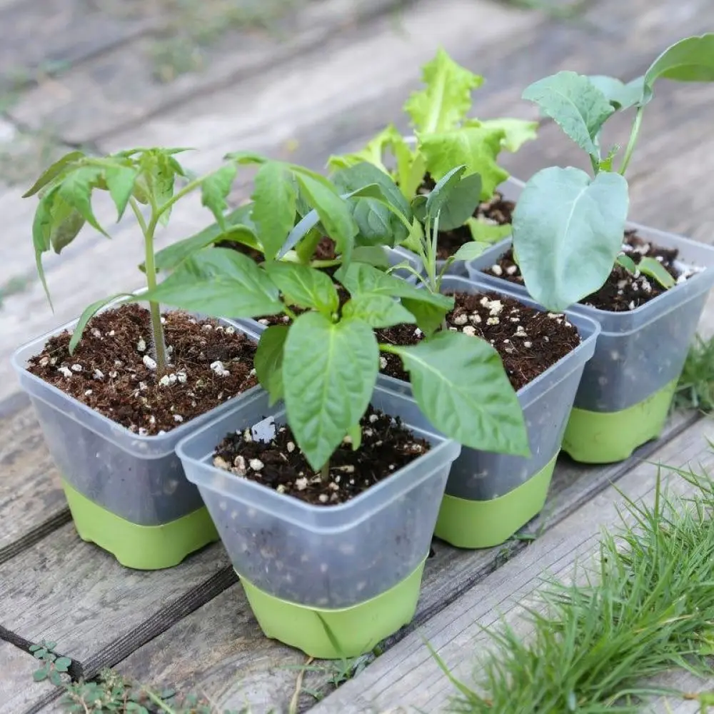 Silicone Starter Tray Plant Nursery Pot Gardening Germination Container Flexible Root Safe Seedling Tool Box