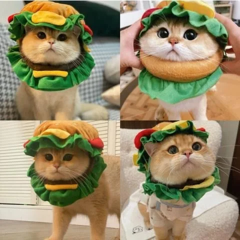 Cubierta de cabeza de gato de Hamburgo para mascotas, sombrero divertido para perros, accesorios para fotos, ropa para cachorros de tamaño pequeño y mediano, sombreros de Halloween