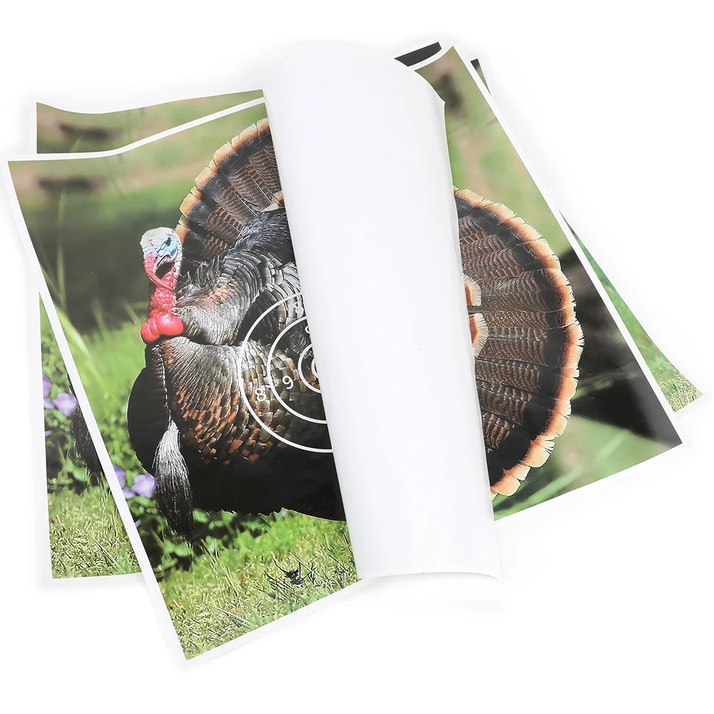 Thumbnail 4 - #84 Best Archery Targets to Buy In 2026
