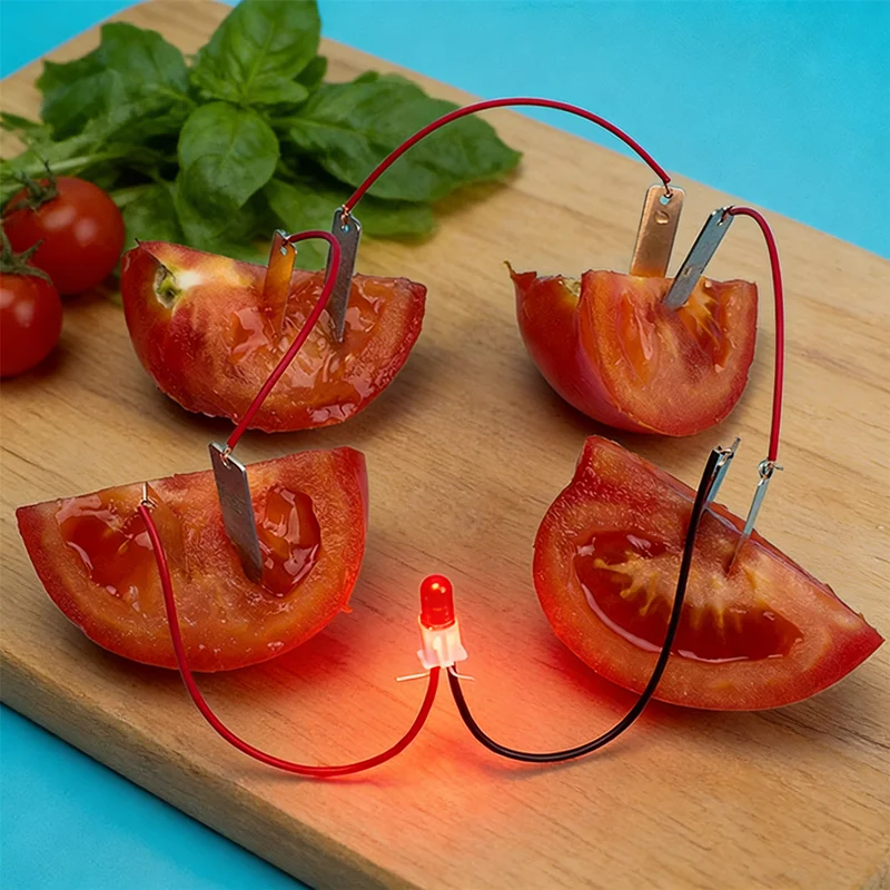 Learning Kit for Kids Potato & Fruit Battery Experiment Set to Explore Electricity Generation for Home or School Science Project