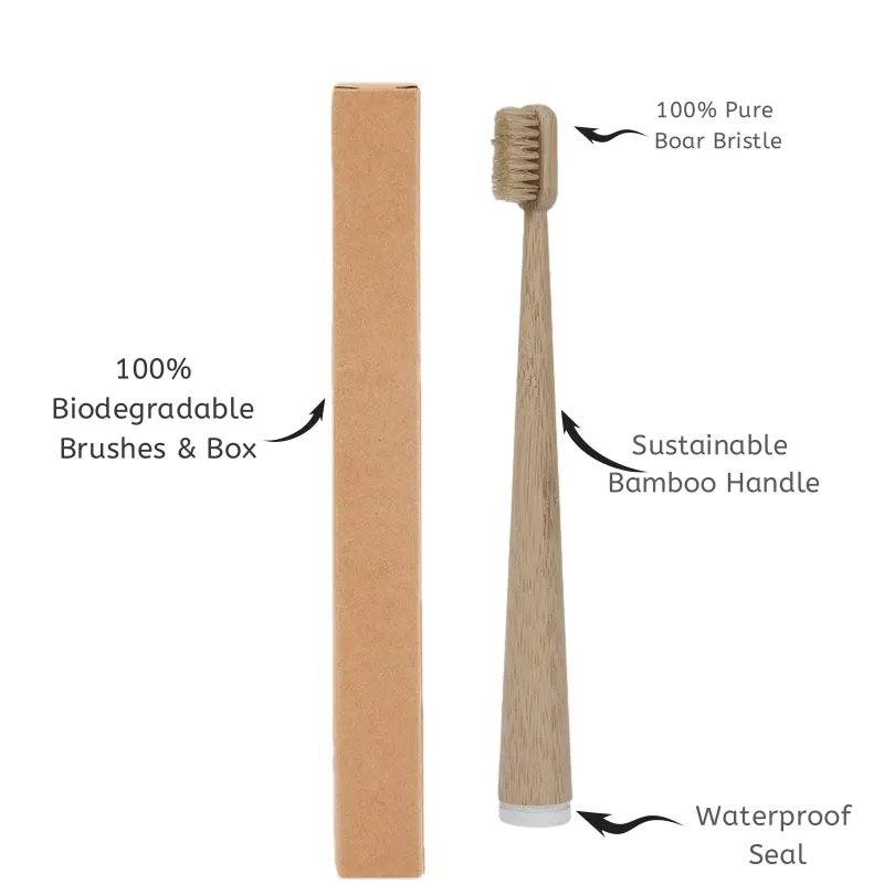 4-Pack Natural Bristle Bamboo Toothbrushes Boar Hair Bristle & Bambu Toothbrush Totally Compostable & Biodegradable