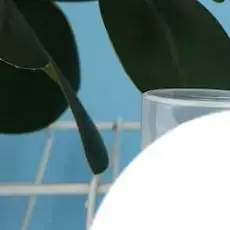 Makeup Cosmetics 5ml/10ml Double Headed Vacuum Press Type Spray/Lotion Packaging Bottle Refillable For Cream Gel Container