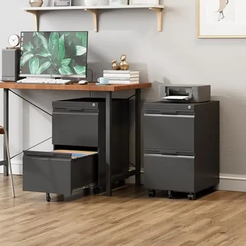 2 Drawer Metal Rolling File Cabinet with Lock, Under Desk Mobile Filing Cabinet for Home Office, Printer Stand with