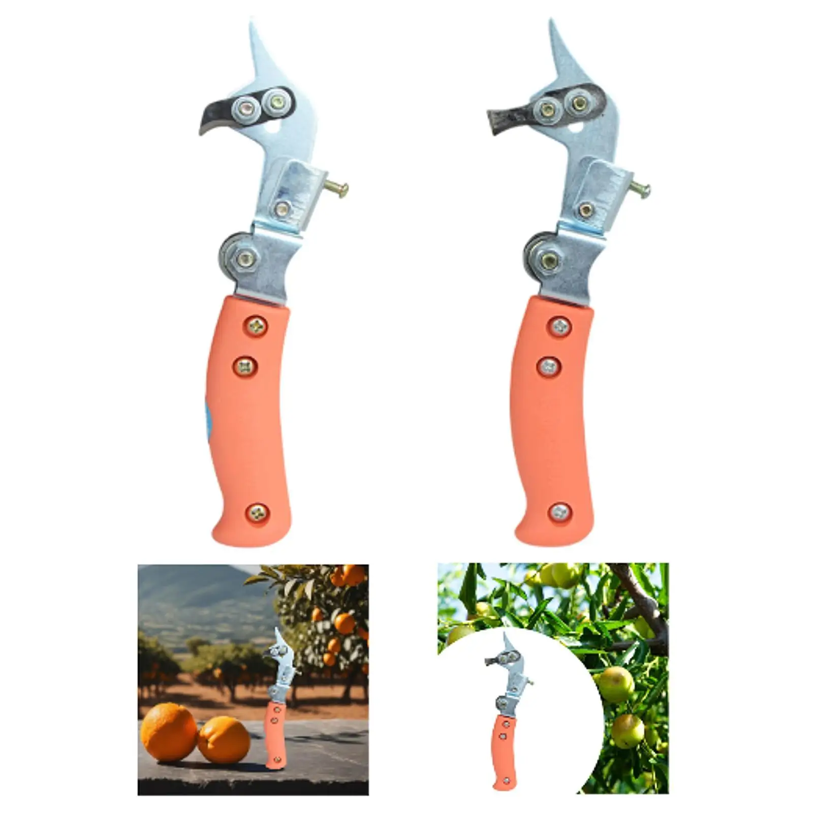 Taglia anelli per alberi da frutto Cesoie per rami Manico ergonomico pratico Migliora i rendimenti Forbici da taglio per anelli robuste per la casa