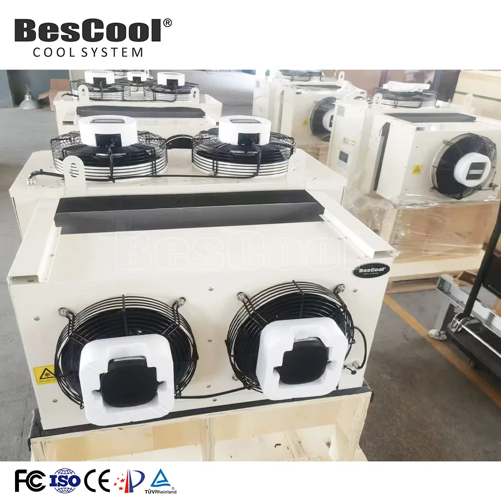 Sanyo Integrated Energy-Efficient Mobile Freezer Inverter Compressor Motor Supermarket Key Superbly Designed Condensing Units