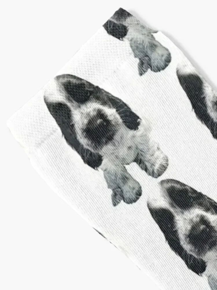 English Cocker Spaniel - Cute Blue Roan puppy dog Socks luxury christmass gift bright garter Socks For Women Men's