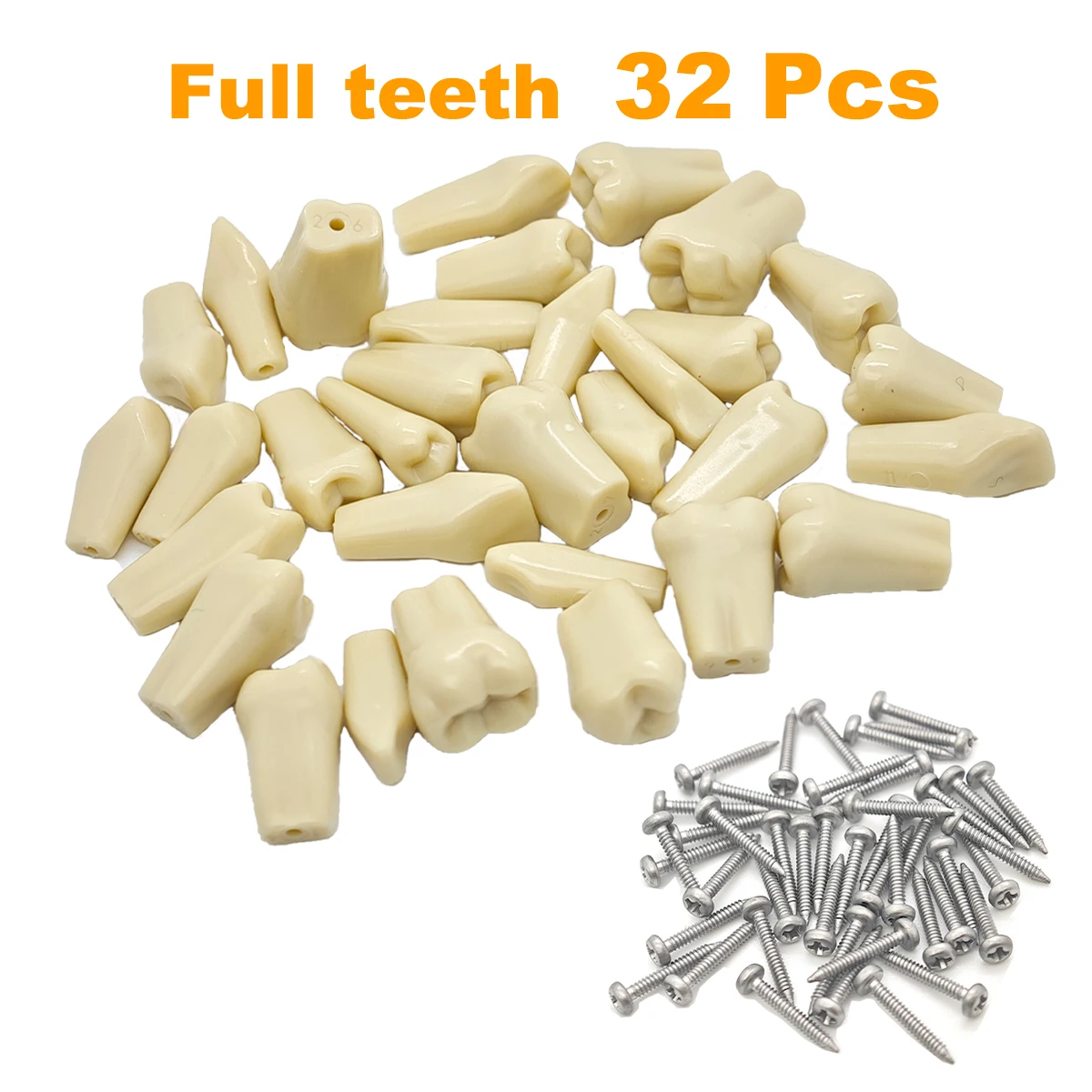 Fit Frasaco A3 Dental Teeth Model Full teeth 32Pcs Replacement Tooth Particles Dentistry Preparation Training Teach