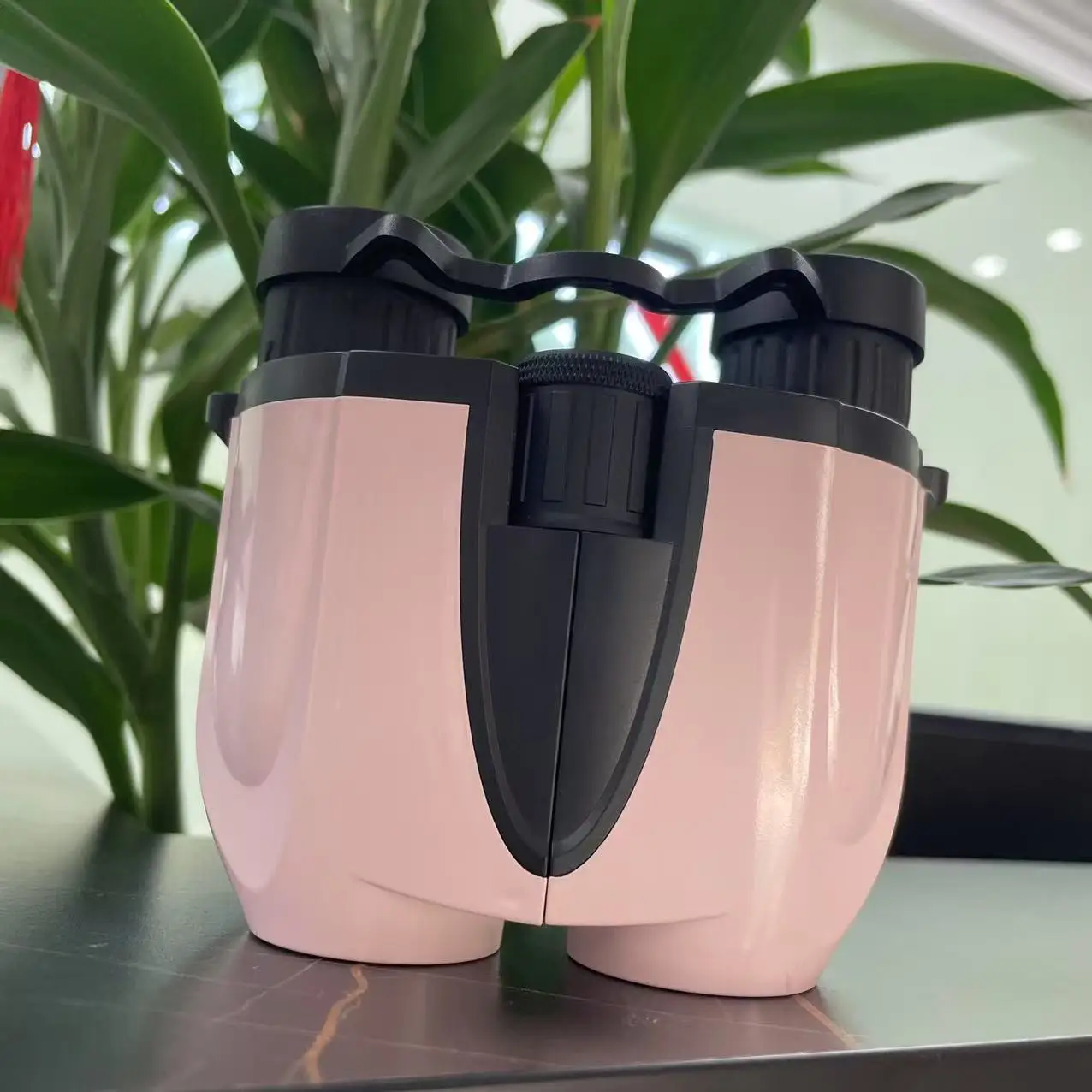 

Розовые компактные бинокли Paul 10x25 L — карманные, легкие и идеальные для приключений на природе