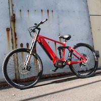 Top End Bafang Mid Drive 36V 250W Electric Mountain Bike G510 Full Suspension EMTB Mountain Ebike Enduro 29ER Ebike