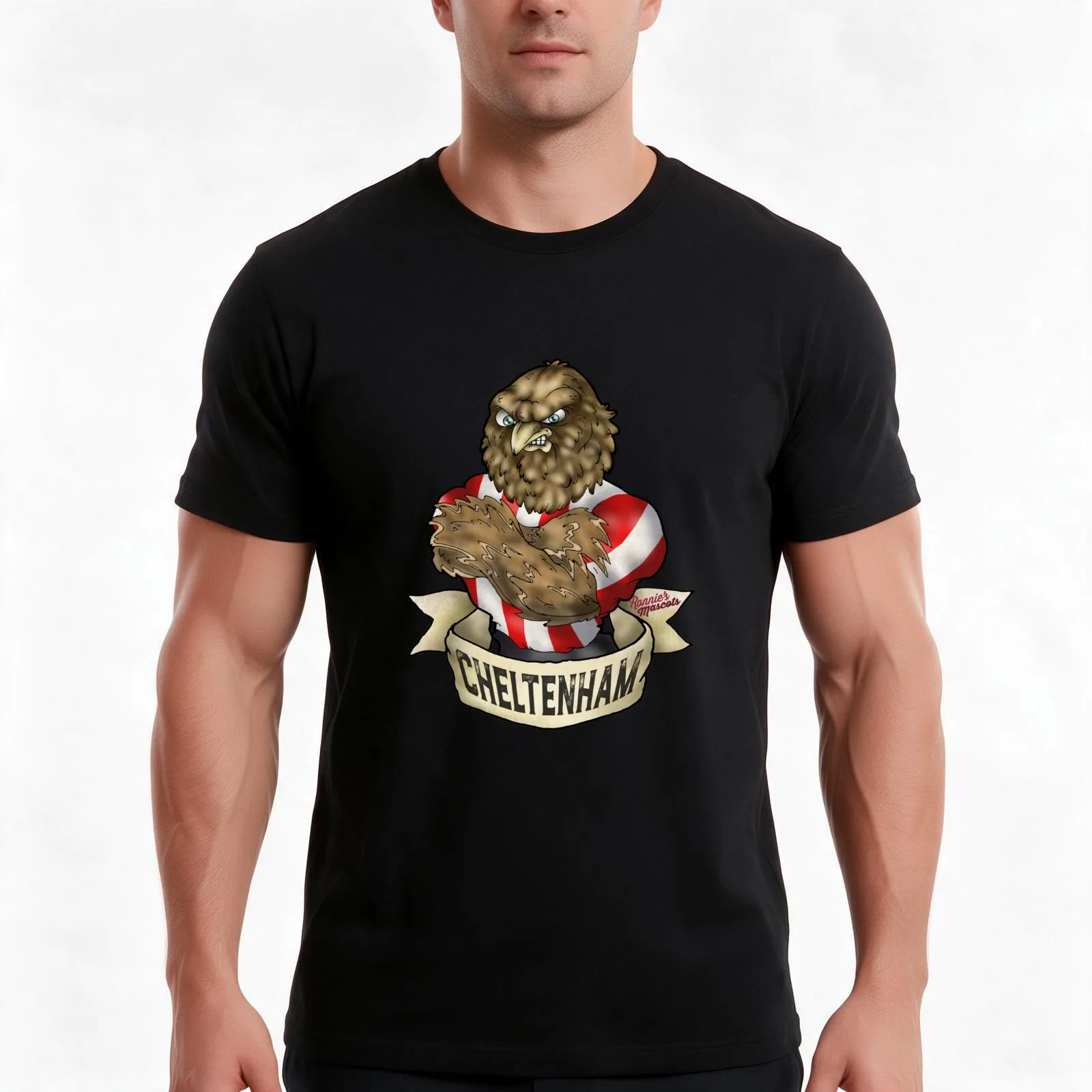 Cheltenham Town Robin Mascot T-Shirt, Summer Casual Cotton Tee, Oversized Streetwear Tops, Vintage Graphic Print, 100% Cotton