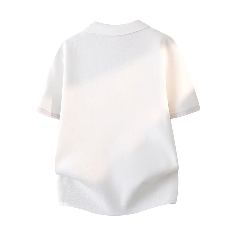 Summer New Light Luxury Men Simple T-Shirt Lapel Short-Sleeve Fashion Casual Knit Polo Shirt British Style Outdoor-Homewear Tops view 3