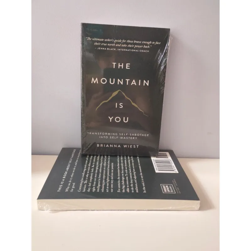 The Mountain Is You: تحويل الانحراف الذاتي إلى كتب اللغة الإنجليزية ذاتية التغلب #6