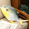 Pomfret